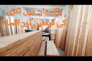 Price of wood in Pakistan | Raw wood price in Pakistan 2024